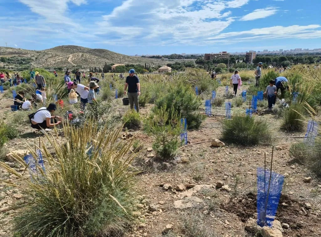 Jornada de reforestación con Oxizonia